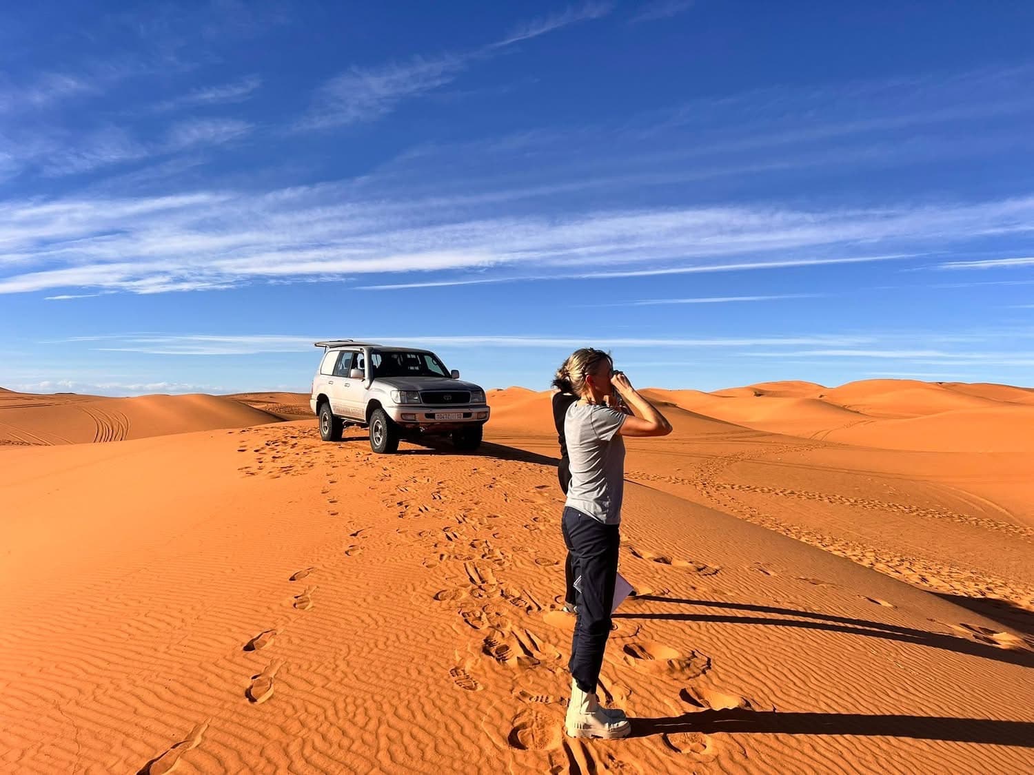 GO, GO, GO ! C'est parti pour le Rallye Aïcha des Gazelles 2026 !